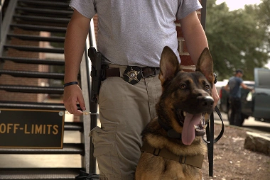 Law Enforcement Patrol & Detector Dog Handler Training