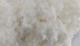 product06eaf3704.jpg